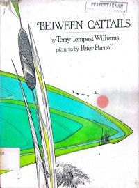 Image of BETWEEN CATTAILS