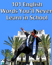 Image of E-BOOK 101 ENGLISH WORDS YOU'LL NEVER LEARN IN SCHOOL