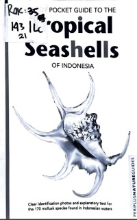 Image of TROPICAL SEASHELLS